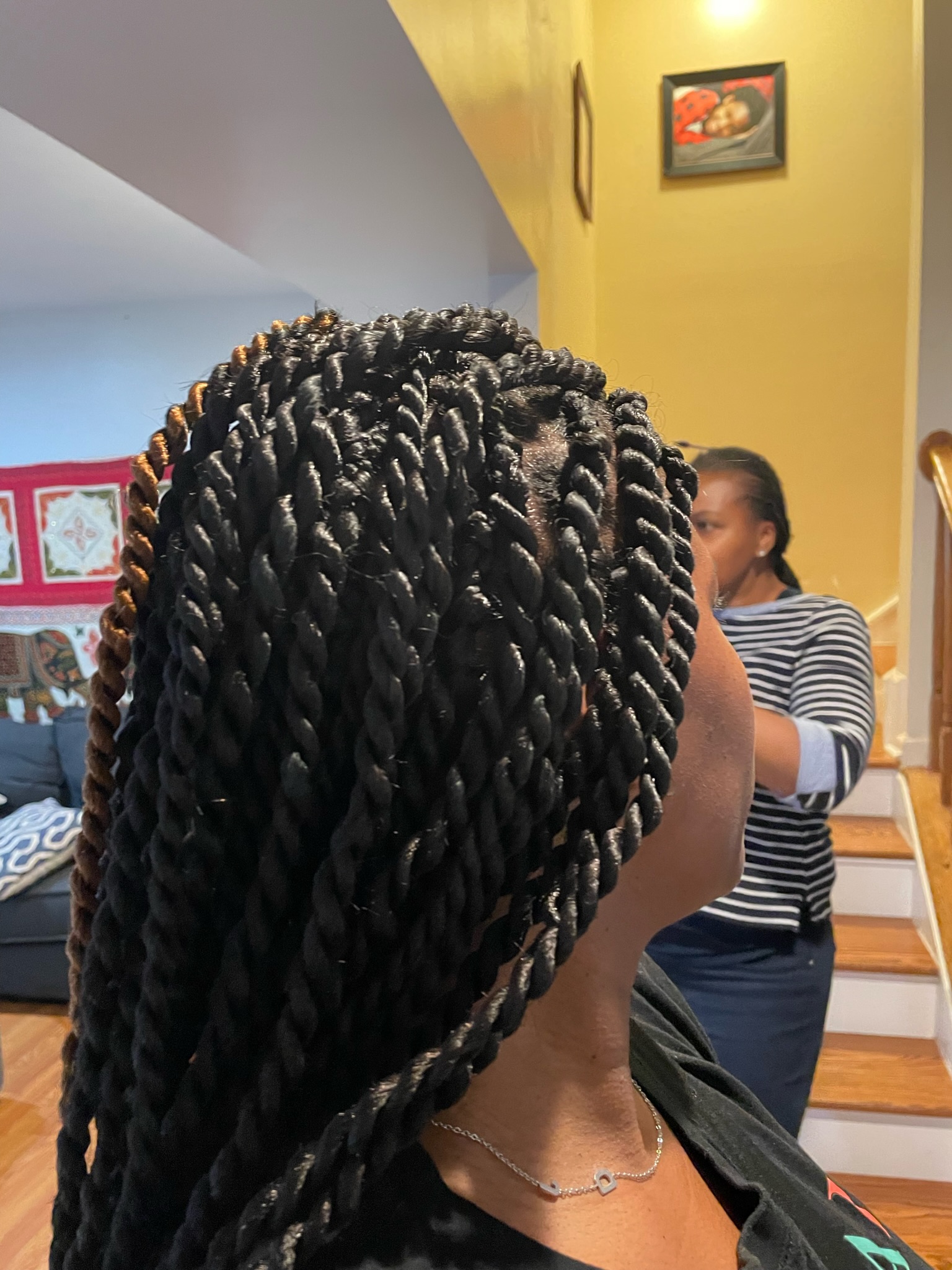 Two Strand Twists